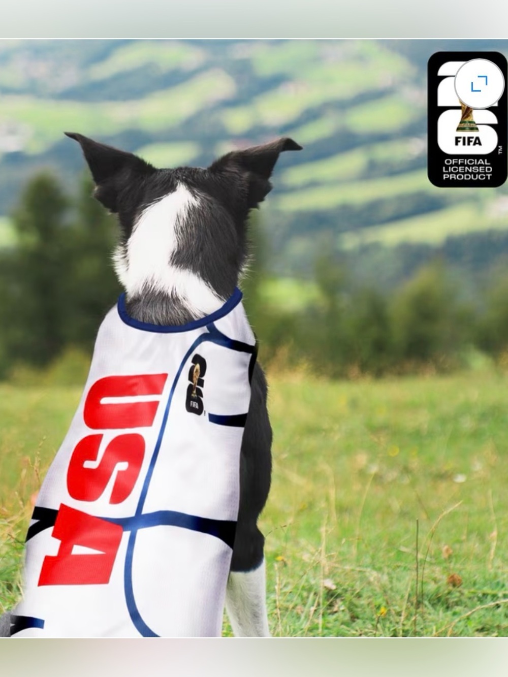 USA FIFA Licensed White & Blue Dog Jersey